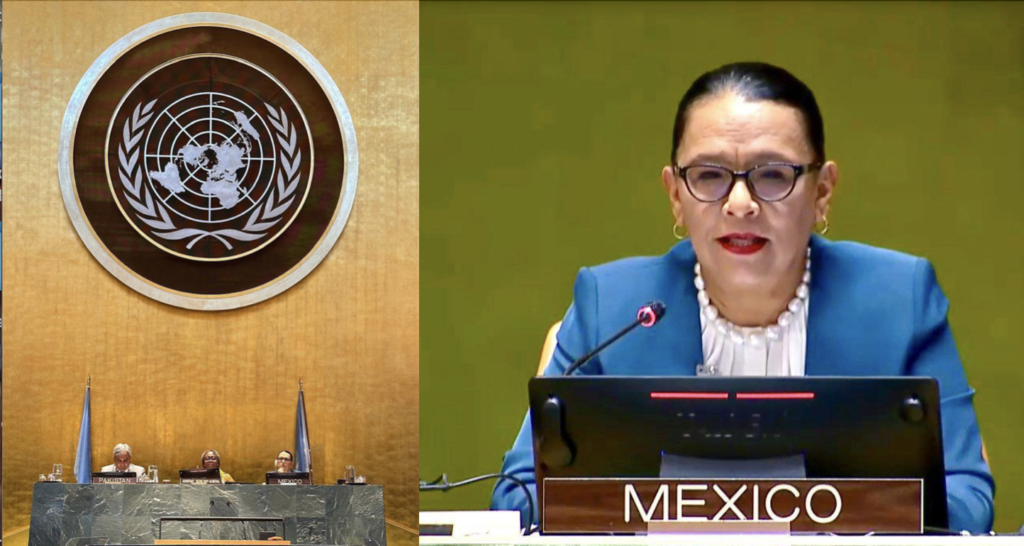 ONU debe atender tráfico ilegal de armas: Rosa Icela Rodríguez